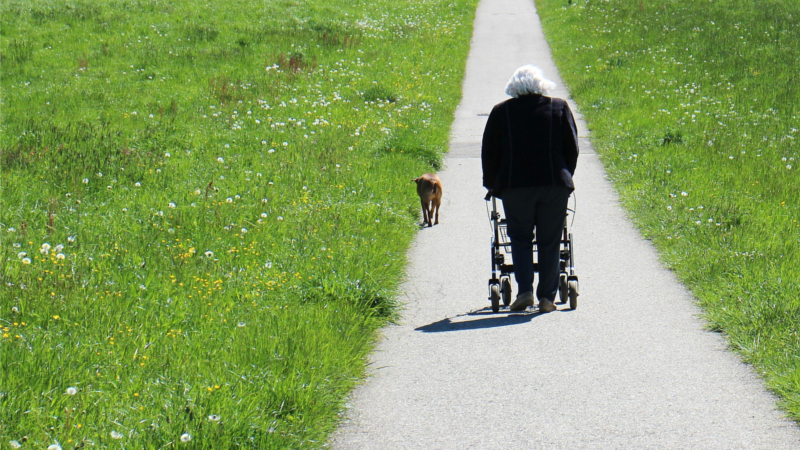 Menschen mit Behinderungen bekommen passgenaue Hilfen Foto: Symbolfoto (Pixabay)