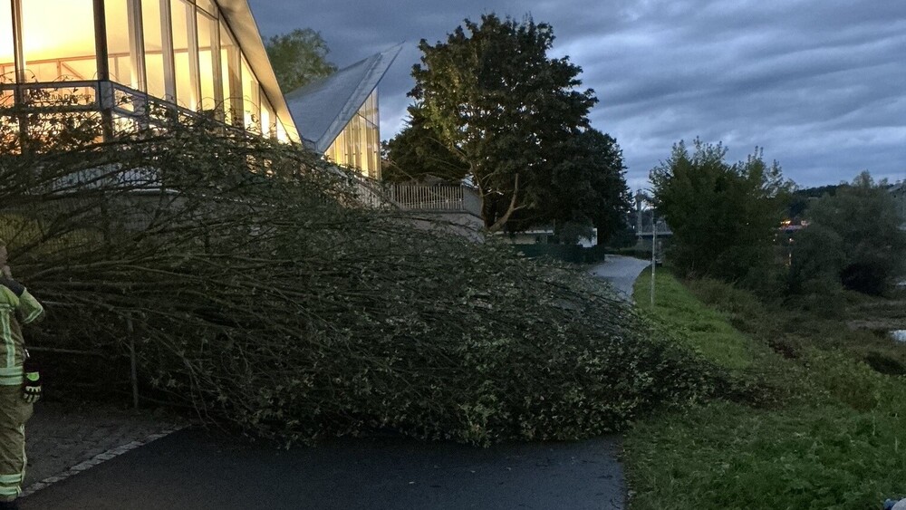 Auch auf den Elberadweg war in Höhe des Restaurant "Johann" ein Baum gestürzt.© Feuerwehr Dresden