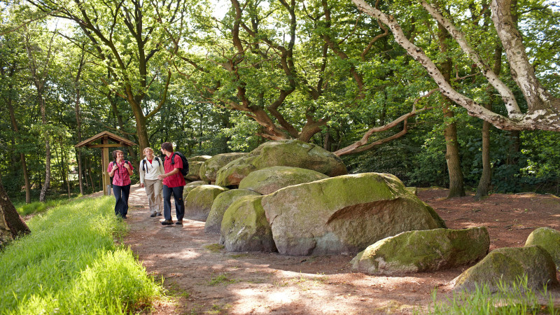 Im Naturpark Hümmlinger Land liegen Großsteingräber aus der Jungsteinzeit. Foto: djd/Camping Hümmlinger Land/Emsland Tourismus