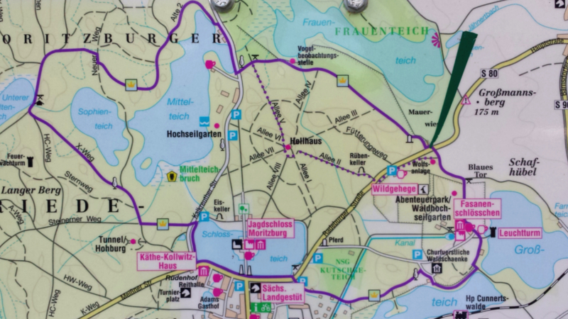 MeiDresden.de Sommertour - Ausflug ins Jagdrevier August des Starken - Koenigsweg ©MeiDresden.de