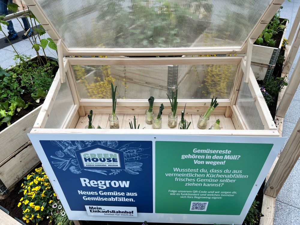 Reisende können dank der GreenHouse-Aktion Natur pur im Einkaufsbahnhof erleben. Foto: UGW