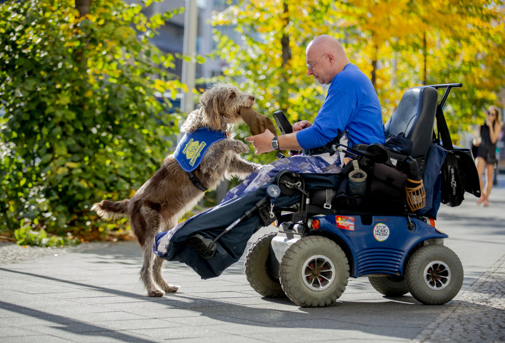 Aktion Mensch -  Assistenzhundteam J. Schmidt und Rieke    Foto: PR/Pfotenpiloten