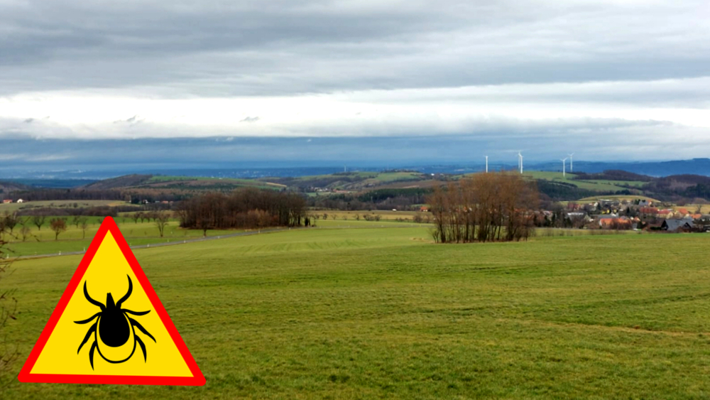 Frühlingszeit heißt auch wieder, Vorsicht vor Zecken ©MeiDresden.de