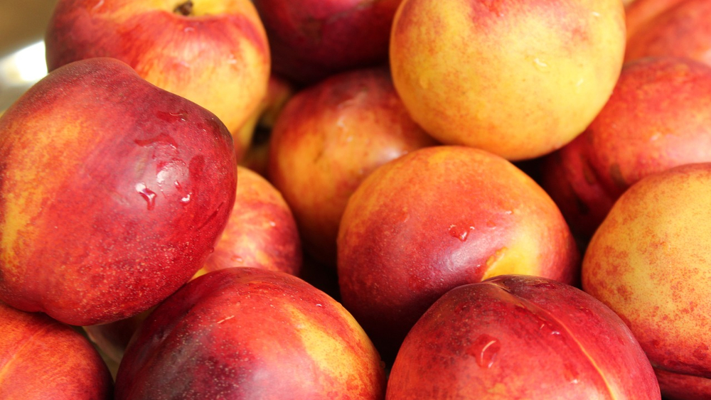 Pestizide in Nektarinen: Sieben von zwölf Produkten überzeugen im Test  © Alicja (Pixabay)
