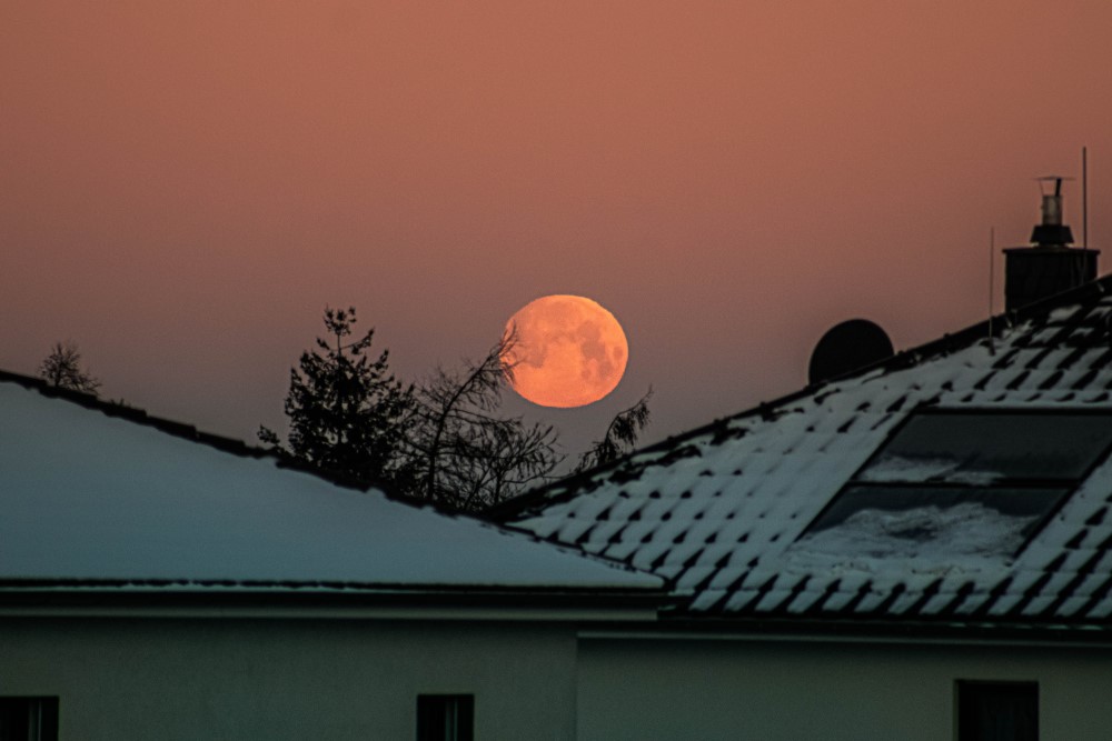 Foto: Sylvio Müller