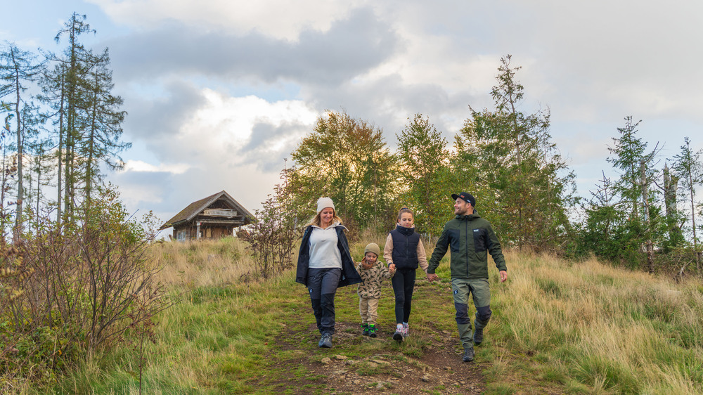 Die Wege zu den aussichtsreichen Höhen sind nicht weit in der Ferienregion Oberharz am Brocken. Foto: DJD/Tourismusbetrieb Oberharz am Brocken/Jan Reichel