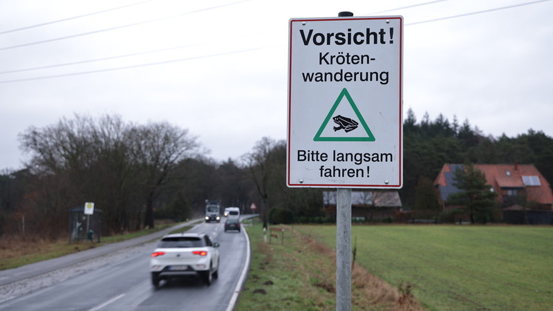 Jetzt beginnt die Krötenwanderung , deswegen sind auch Autofahrer zur Vorsicht gerufen. Foto: NABU Jan Piecha. 