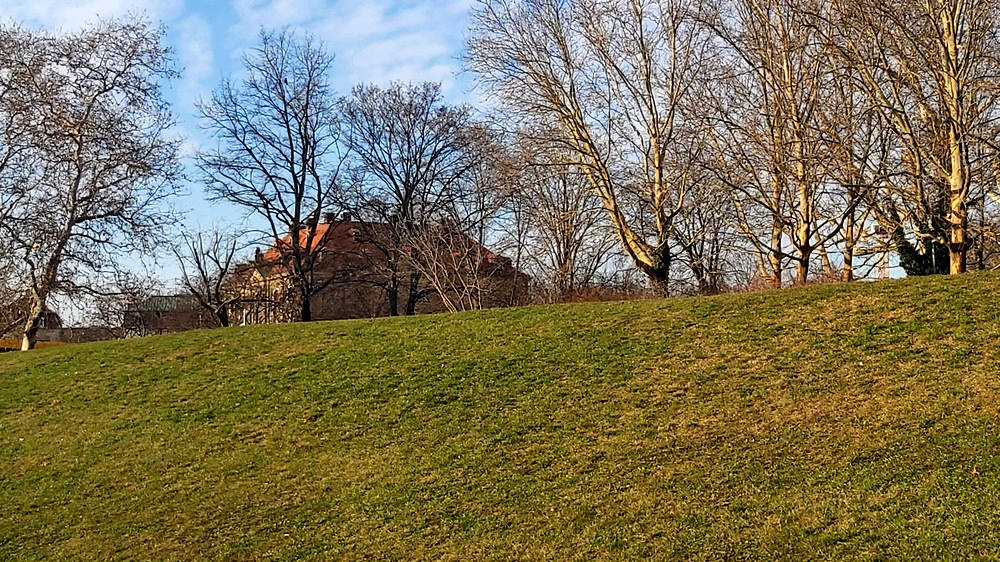 In den nächsten Tagen nimmt der Frühling so langsam Fahrt auf. Foto: MeiDresden.de