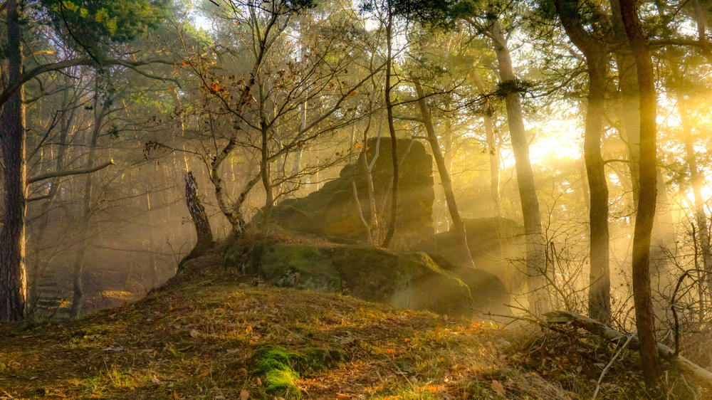 Ein Rundweg in den Thekenbergen führt zu alten Kultstätten, die ihren Zauber nicht verloren haben. Foto: DJD/Tourist Information Halberstadt/Stefan Herfurth