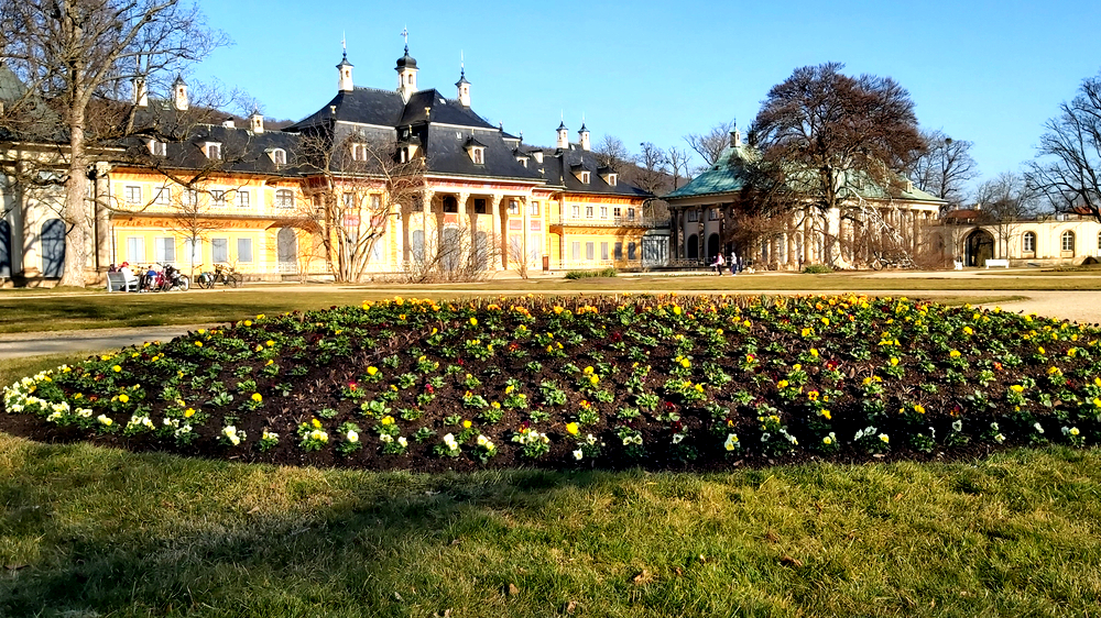 Am Donnerstag beginnt der kalendarische Frühling. Foto: MeiDresden.de / Frank Loose