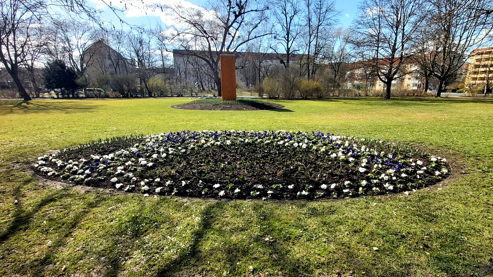 Überall in der Stadt werden die Frühlingsblüher gepflanzt. Foto: MeiDresden.de / Frank Loose