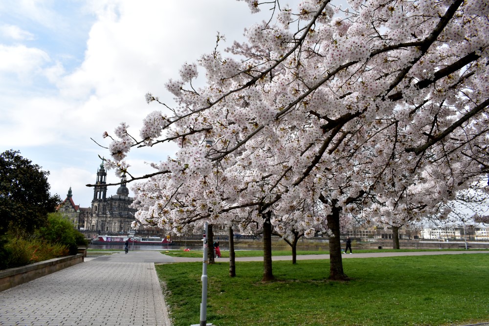 © MeiDresden.de/Mike Schiller