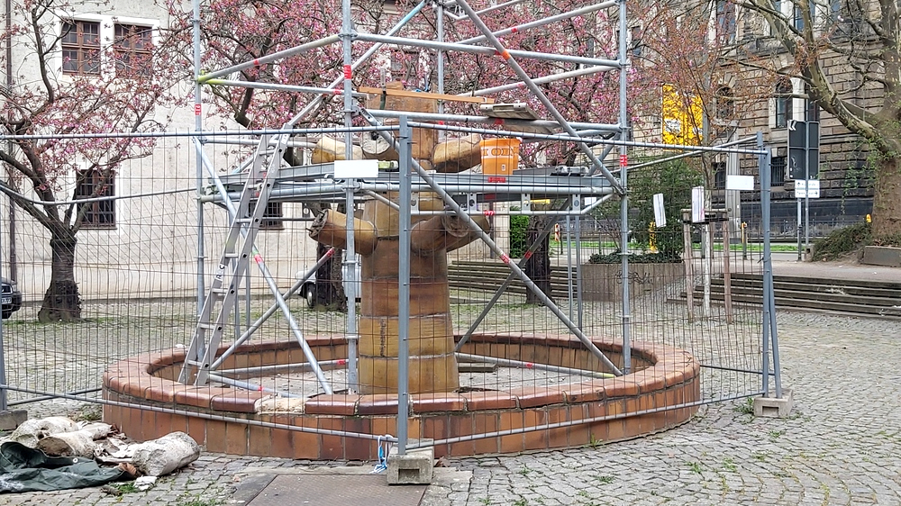 "Blütentraum" soll zu neuem Leben erweckt werden. Foto: MeiDresden.de