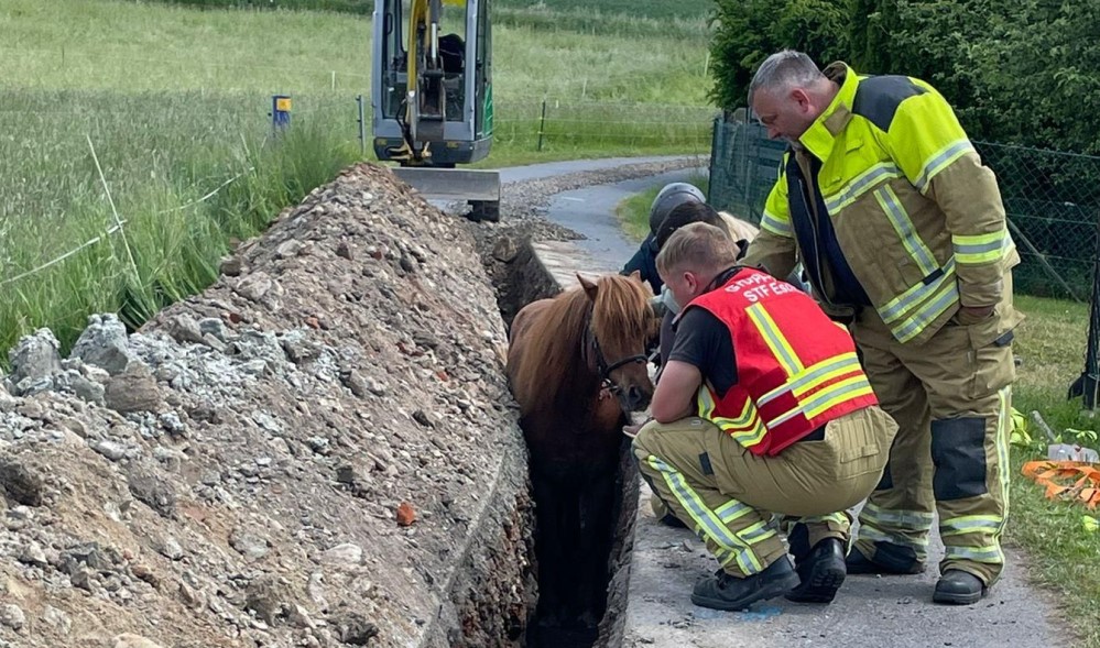 Foto: Feuerwehr Dresden
