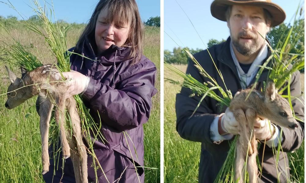 Fotos: © Ronny Petz  - Kitzrettung- Mittelsachsen e.V.