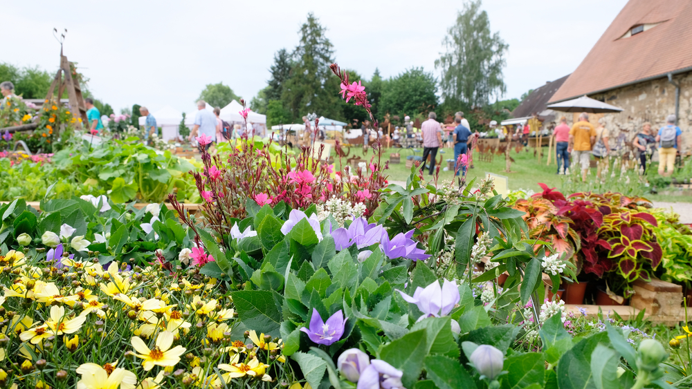 Zahlreiche Händler mit einem Angebot für bunte und blühende Gärten und Balkone bei der Blumen und Gartenschau in Altzella © Juliane Schikade