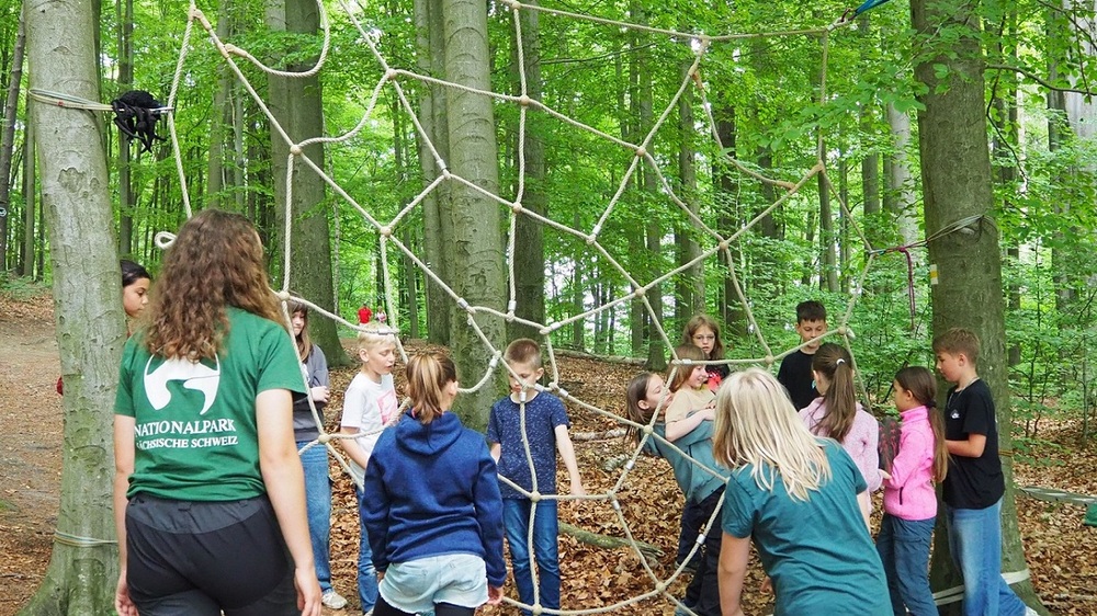 Spiel, Spaß und Sport: An der Station „Spinnennetz“ der diesjährigen Waldjugendspiele in der Nationalparkregion Sächsische Schweiz war Geschicklichkeit und Teamarbeit gefragt, denn für jedes Kind gab es hier nur einen Durchlass. Foto: L.L. Völker