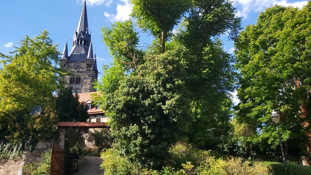 Eines der vielen Gebäude,welches am Tag des Denkmals öffnet ,ist die Alte Kirche in Briesnitz. Foto:MeiDresden.de