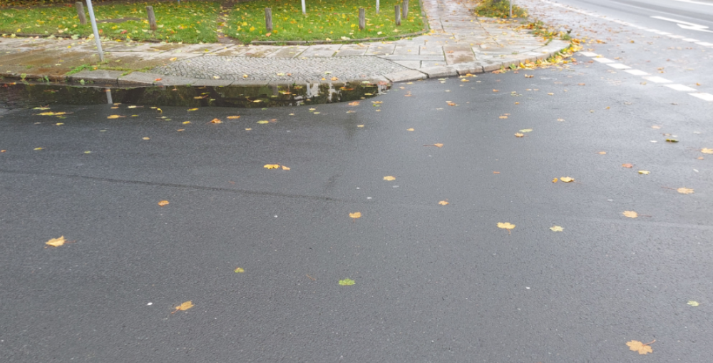 Foto: © MeiDresden.de