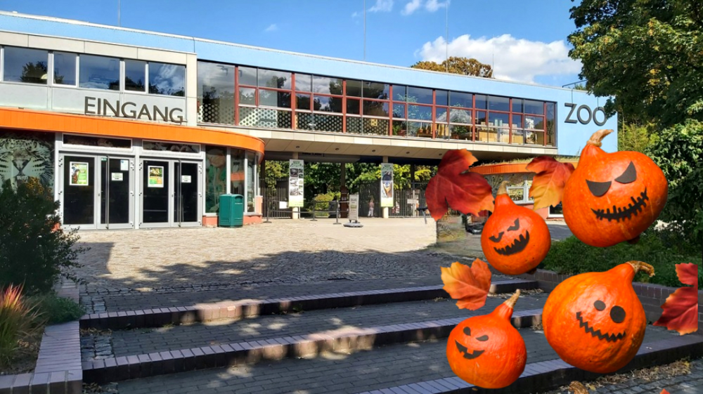 Am 31. Oktober sind alle wetterfesten Hexen und Geister zum schaurig-schönen Halloween-Fest in den ZOO Dresden eingeladen.. Bildmontage: MeiDresden.de