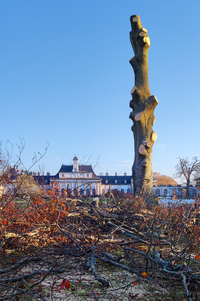 Blick zum Neuen Palais  © Antje Heinze