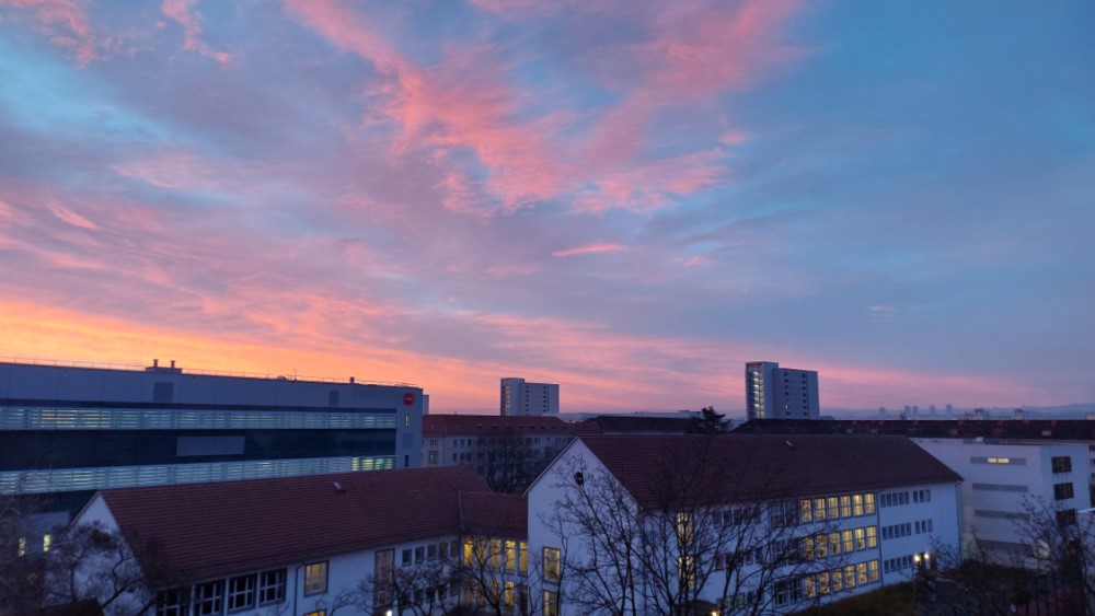 Foto: © MeiDresden.de/Mike Schiller