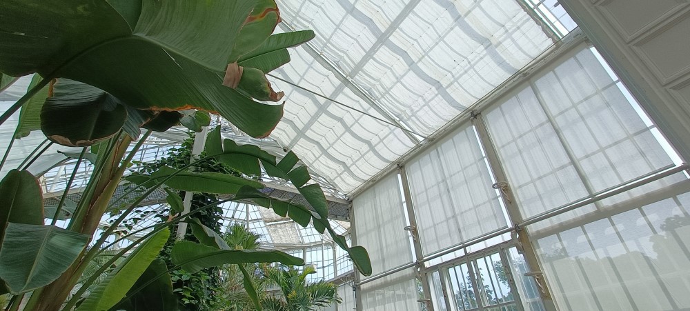 Neuer Energie  und Rollschirm   Foto: © Josefine Frank