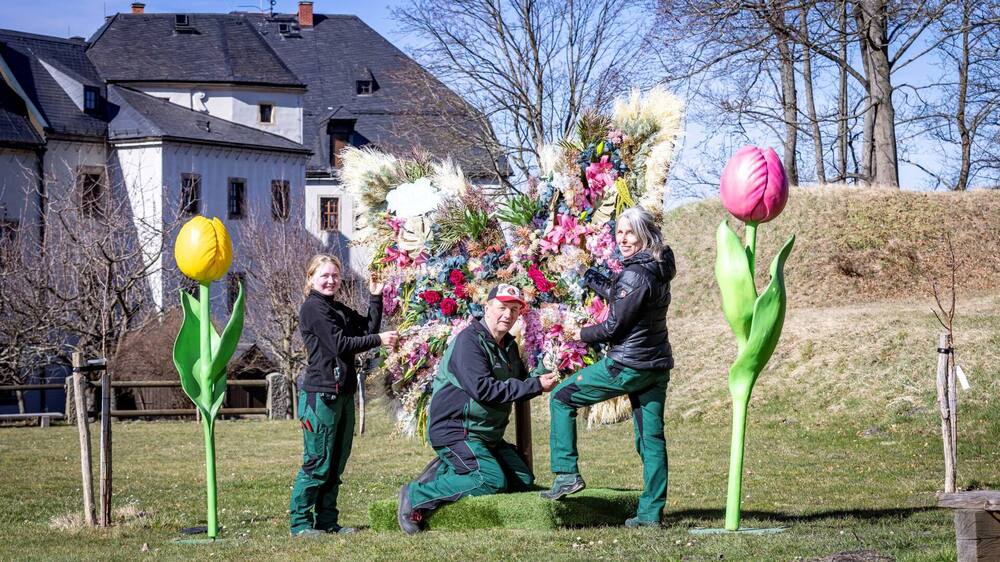 Schmetterling Festung Königstein. Foto: Marko Förster