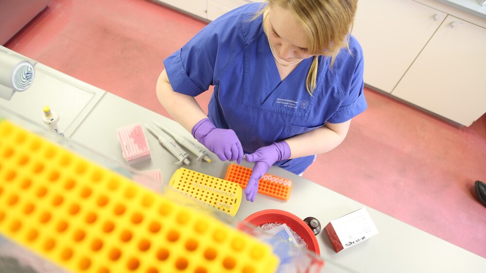 BioBank Dresden, DNA-Isolation aus Gewebeprobe. Foto: UKDD