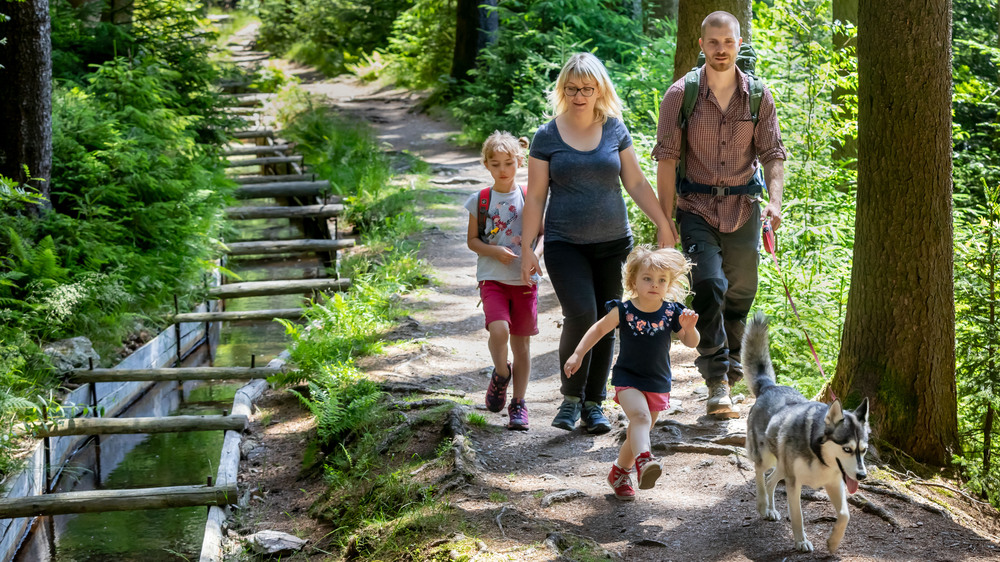 Wandern_ Röhrgraben Ehrenfriedersdorf Familie Foto: TVE Uwe Meinhold