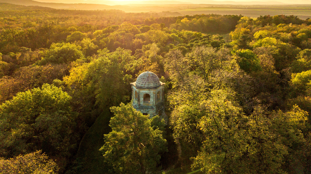 Vom Belvedereturm blicken die Besucherinnen und Besucher über die Baumwipfel hinweg in die Ferne. Foto: DJD/Tourist Information Halberstadt/Stefan Herfurth