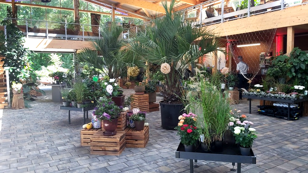 Blick in die Orangerie, hier kann man auf der oberen Etage und im benachbarten Cafe auch feiern.und speisen  Foto: MeiDresden.de