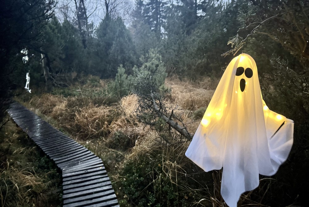Halloween Hochmoor  Foto: Tourist Information Altenberg