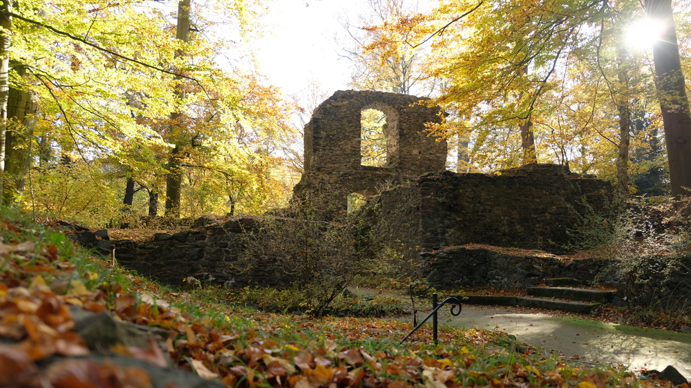 Abteiruine im Klosterpark Altzella © Schlösserland Sachsen