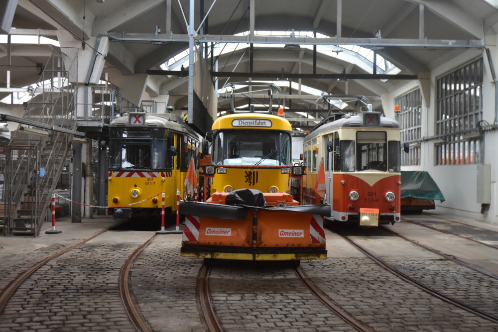 Foto: Archiv 2019 © MeiDresden.de/Mike Schiller