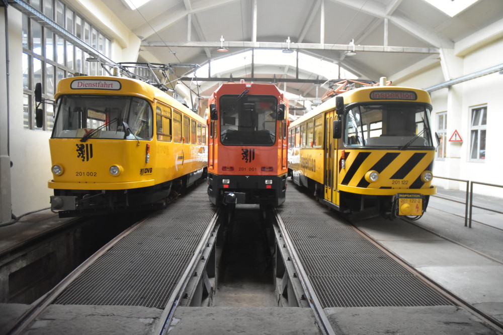 Foto: Archiv 2019 © MeiDresden.de/Mike Schiller
