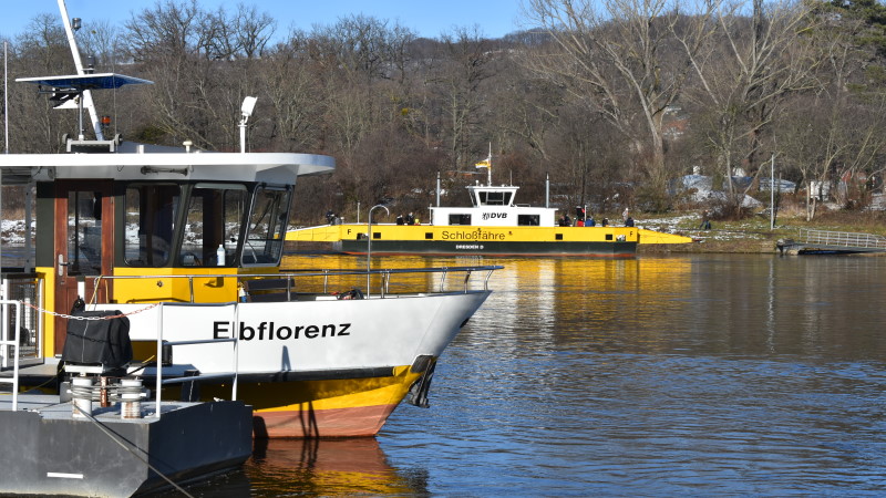 ©MeiDresden.de