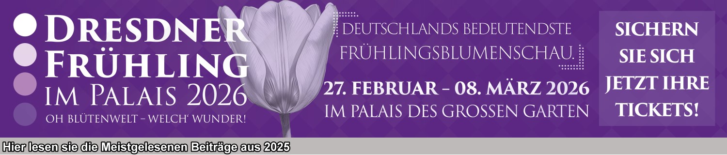 Artikelbanner-MeiDresden2025